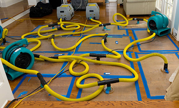 Professional Structural Drying And Dehumidification technician working in Palm, PA